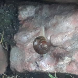 Meet your Posher, Ann